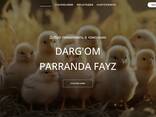 WEB разработка сайтов - fotosurat 1