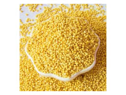 Wholesale Organic Glutinous Yellow Millet Floured Broomcorn Sticky Millet for Bird Seeds