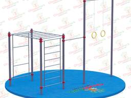 Workout CP-007 (Воркаут)