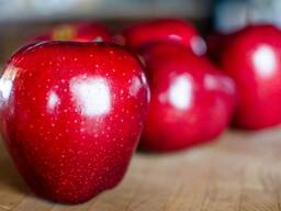 Яблоко красное