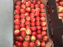 Яблоко свежее в ассортименте