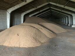 Ячмень в мешках по 35 кг, 40 кг, 50 кг. Пшеница 3.4 класса.