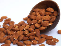 Ядро миндаля