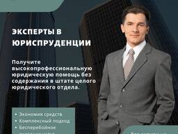 Юрист по экономическим делам. Поможем защитить Ваш бизнес, взыскать дебиторские задолжен