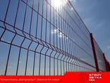 Rulon qush setka quyon setka - fotosurat 3