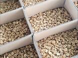 Продам очищенный грецкий орех (светлая бабочка) оптом Текст: ​Продукт: Грецкий - фото 3