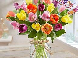 Professionallardan og'zaki tarjima - INTERTEXT uz ***