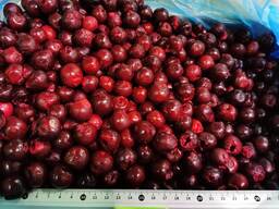 Замороженная плодоовощная продукция