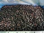 Замороженная плодоовощная продукция - фото 1