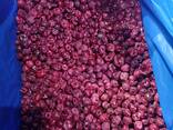 Замороженная Вишня (без косточки) - fotosurat 2