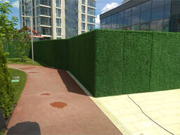 Зеленный ЭКО забор