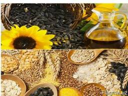 Зерно, зернобобовые и масленичные культуры на экспорт