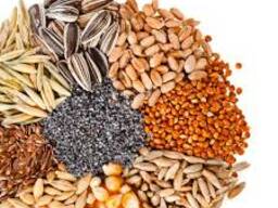 Зерновые, бобовые, масличные