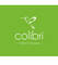Design Group Colibri, ООО