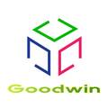 Goodwin, ООО